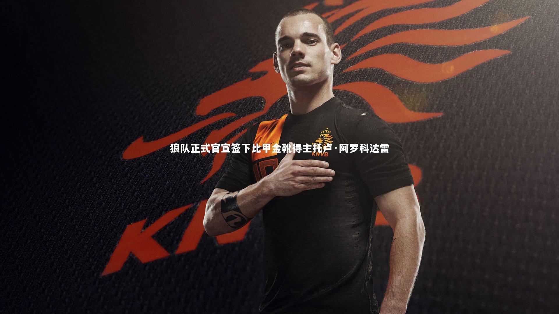 狼队正式官宣签下比甲金靴得主托卢·阿罗科达雷